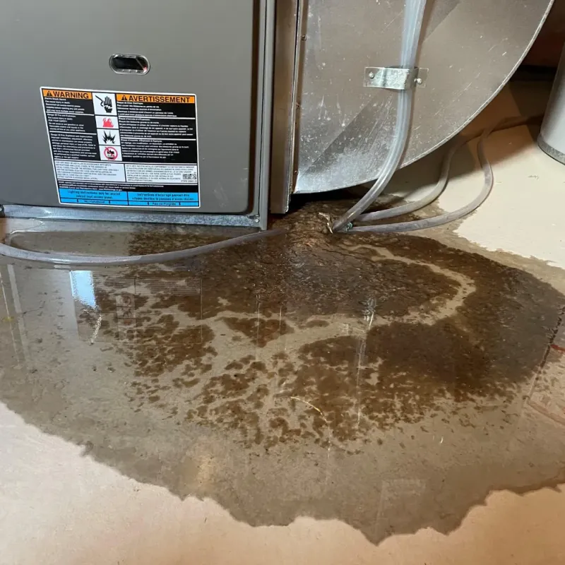 Appliance Leak Cleanup in Beech Grove, IN